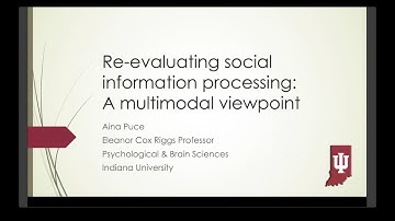 CMN Multimodal Neuroimaging Workshop 2019 – Aina Puce