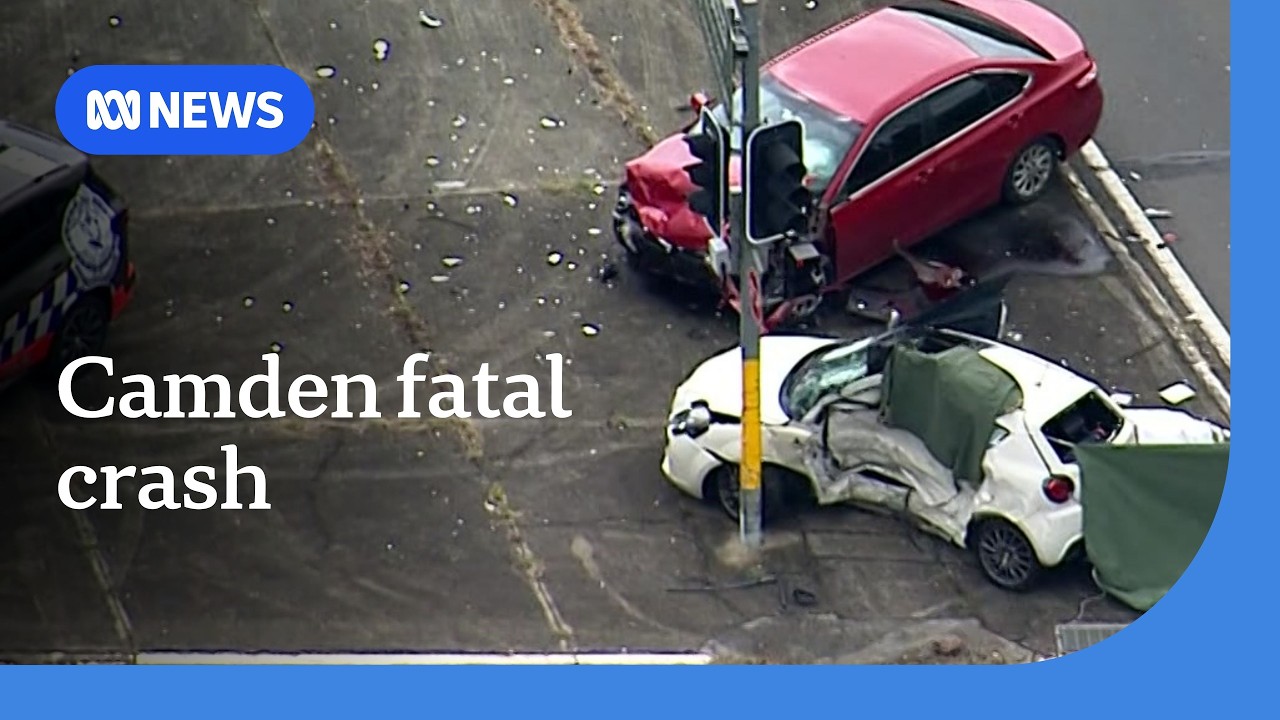 Two people killed in crash after police pursuit in Sydney’s southwest | ABC NEWS