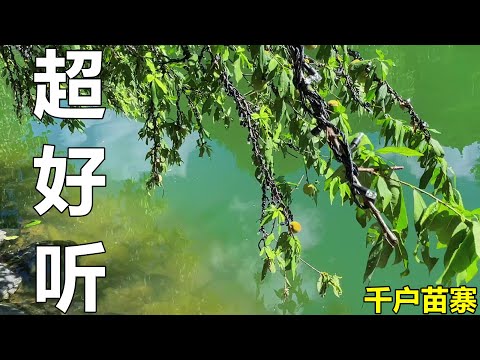 新歌！新歌！一首经典歌曲《酒醉的心》，痛彻心扉的歌声，唱哭了多少有情人！给生活加点糖