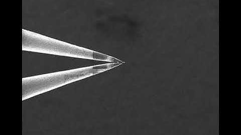 CryoFIB from HPF sample