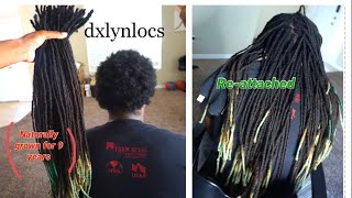 FULL VIDEO: HE WANTED HIS LOCS BACK | NATURAL LOC REATTACHMENT | 9 YEARS OF GROWTH