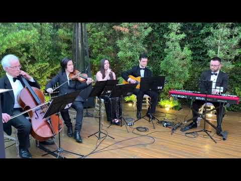 Música para Casamento em Curitiba - All of Me