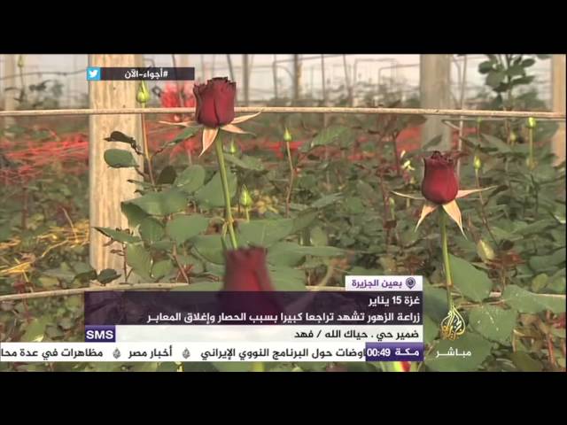 غزة | اعتصام أمام معبر رفح للمطالبة بفك الحصار
