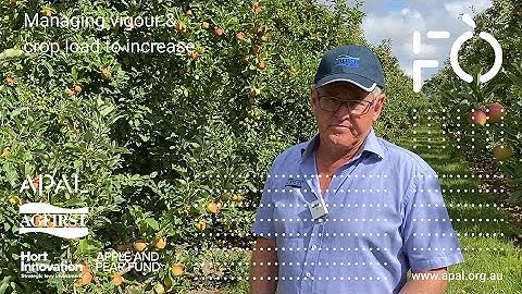 Managing vigour and crop load to increase profit