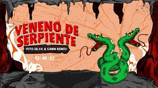Veneno de Serpiente (Fito Silva & GAWM Remix)