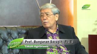 bincang bintang bungaran saragih untuk green TV IPB