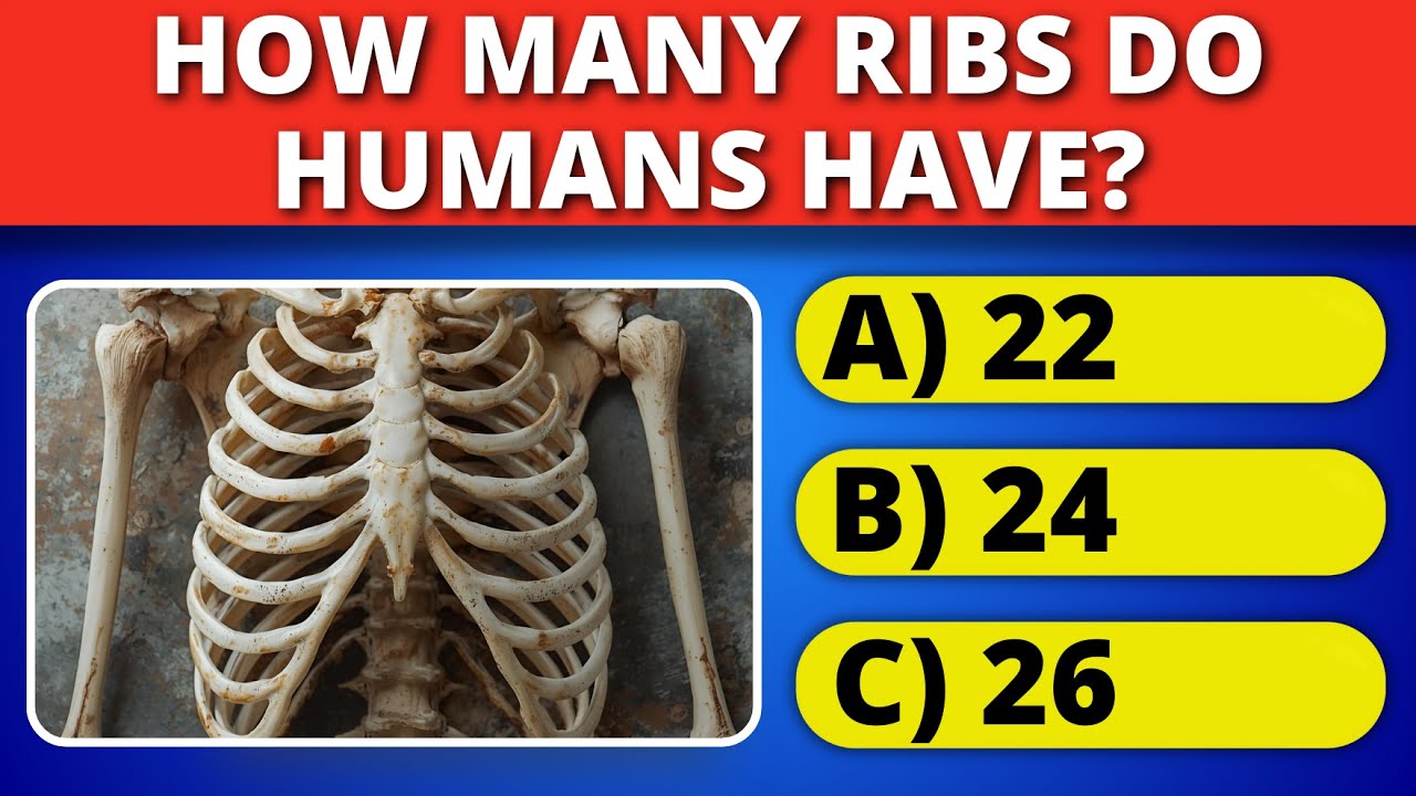 Can You Pass This Human Body Anatomy Quiz? 🧠 Test Your Knowledge! - YouTube