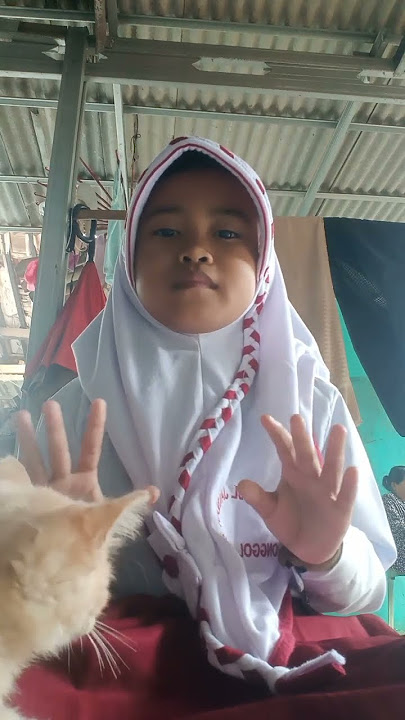 Download lagu 11 Maret 2025