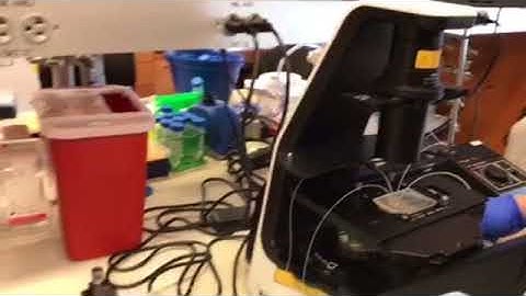 Microfluidics Setup Used to Co encapsulate Single Nuclei with Barcoded Beads