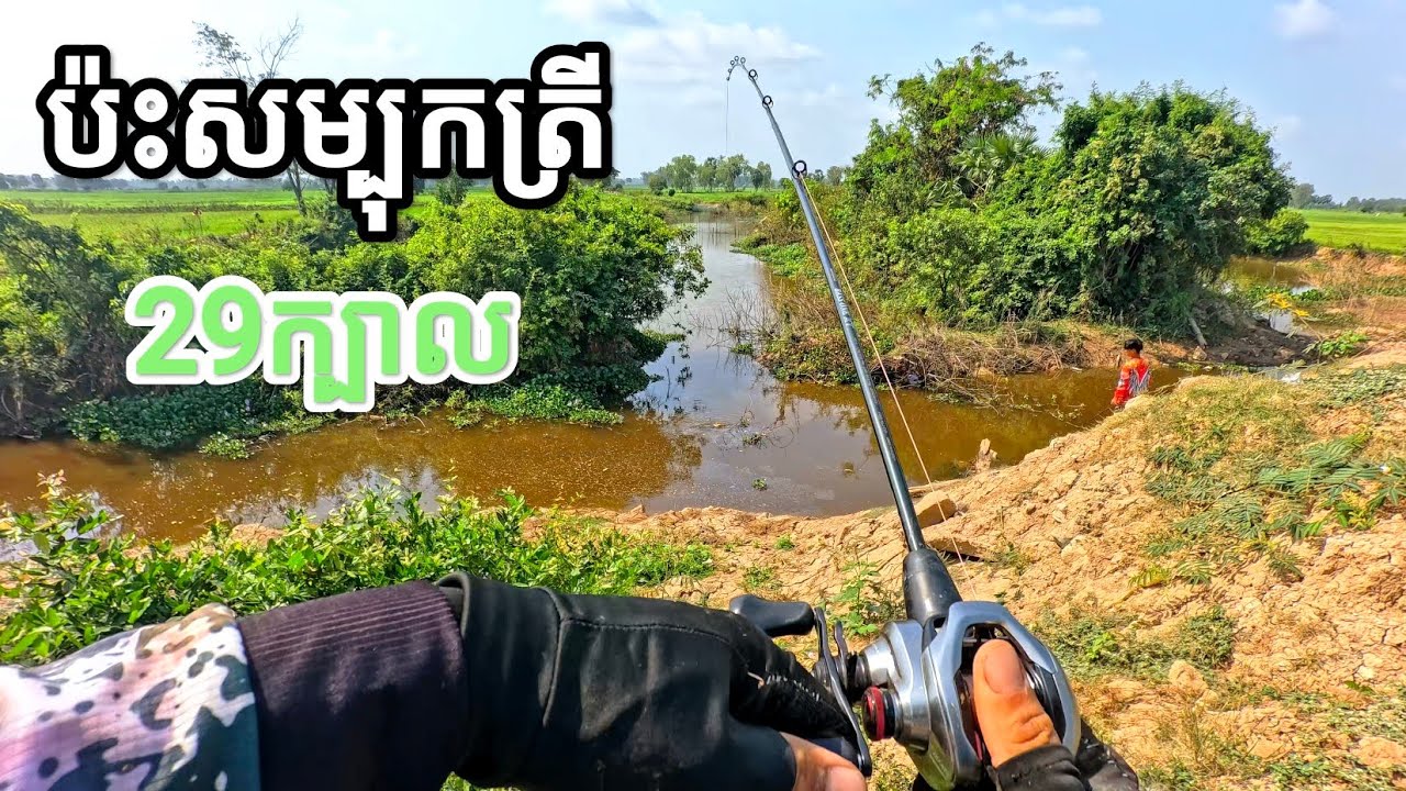 ប្លង់នេះត្រីខាំច្រើនណាស់ #FishingInCambodia2025 #SnakeheadFish #FishingTrip2025 #បបក់ត្រីស្រែ២០២៥