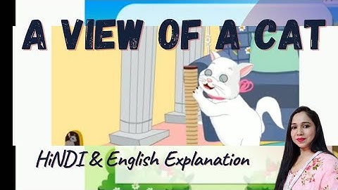A View of a Cat / Explanation / Hindi Explanation / Macmillan / English Ferry / Class 3