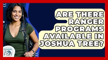 Are There Ranger Programs Available In Joshua Tree? - Chasing Big Fish