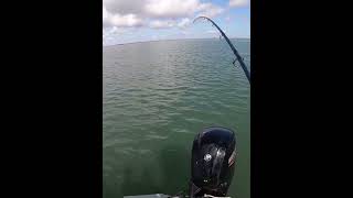 #NatureFishing #FishingLover #FishHunter  #GoneFishing #carpfishing #vairalvideo #sort