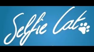 Selfie Cat  -- Animated Short Film