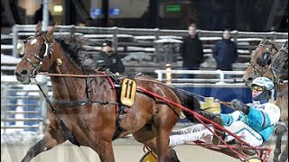 V75-7. 1️⃣1️⃣ S.G.Mistral (Charly du Noyer (FR) - S.G.Bianca Carrara/Zola Boko)