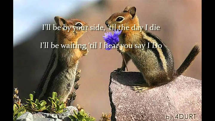 I do- 911-- lyrics video