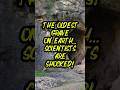 The Oldest Grave on Earth… #historyfacts #shorts