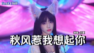 任夏 - 秋风惹我想起你│Ren Xia - Qiu Feng Re Wo Xiang Qi Ni『又是一场梦，勾起我心里的伤，泪湿半边枕，让我失眠到天亮』【动态歌词MV】