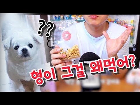강아지 간식을 먹어보았습니다 | 소소일상 SOSO1SANG