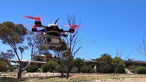 Insta360 GO2 fpv - Bugs3/EX2 mini test