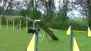00042.wmv