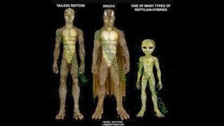 ANNUNAKI VS REPTILIANS PT 1