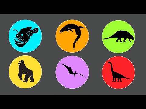 Guess ThePicture JurassicWorld:Ankylosaurus,Ikan Sungut,Brachiosaurus,KIngkong,Mosasaurus,Pterodacty