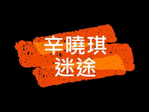 辛曉琪 迷途