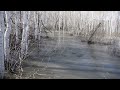 по дороге в Белоусовку  13 04 25г. Весеннее настроение!