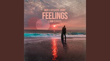 Feelings
