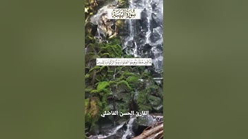 سورة البينة بالصيغة المغربية الأصيلة القارئ الحسن الفاضلي