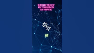 What is the smallest unit of information in a computer?