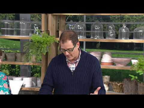 Vegtrug Herb Garden