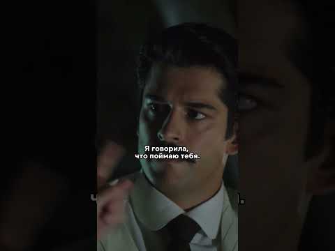 С ней невозможно договориться 😂 #королекптичкапевчая #буракозчивит