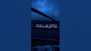 القرآن الكريم بصوت عذب وجميل #اكسبلور #لايك #المصحف #راحة_نفسية #دويتو #حالات_واتس#قرآن#قران_كريم