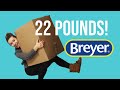 UNBOXING 22 LBS OF BREYERS!!!