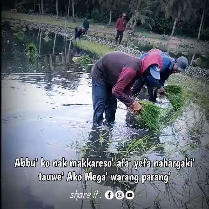 story wa kata kata Bugis sedih ll story wa terbaru 2020 , story wa bugis keren