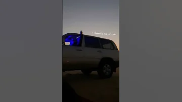 طاير عليها طاير 