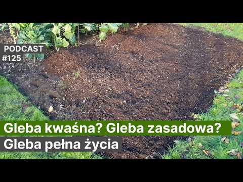 Wideo: Czy słona gleba jest kwaśna czy zasadowa?