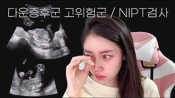 임신 16주차 초음파 / 다운증후군 고위험군 판정 / NIPT(염색체)검사 / 임신중기 배뭉침 / 배크기영상