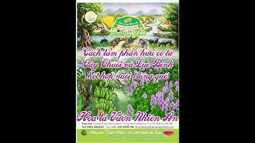 Hoa Quả Vườn Nhiên An. Cách ủ phân hữu cơ từ Cây Chuối và Lục Bình