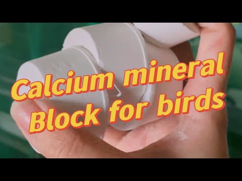 Calcium Mineral block