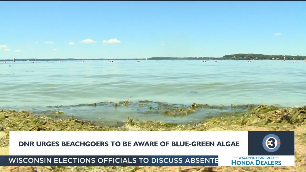 Wisconsin DNR warns beach-goers to be aware of blue-green algae