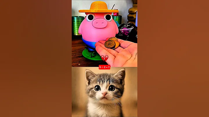 Watch the video about #funny #cat #usa #shorts