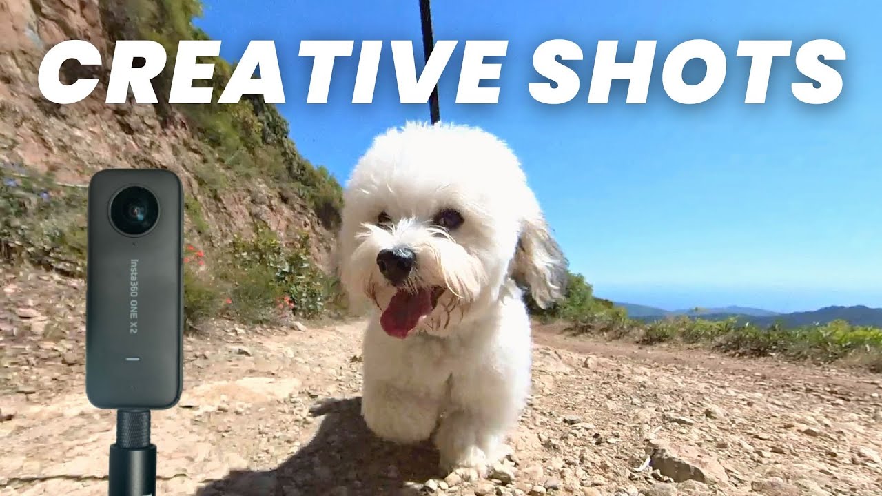 Mt Tamalpais Hike | Insta360 X3 & ONE X2 - YouTube 