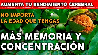 6 Plantas que te harán más INTELIGENTE Potencian tu MEMORIA y CONCENTRACION