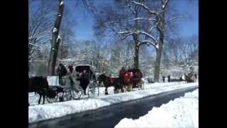 Heavy snow turns Central Park into a beautiful Winter Wonderland
