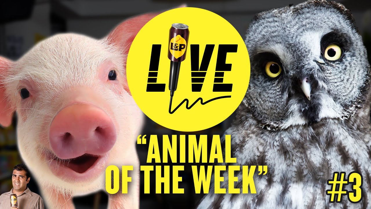 L&P Live - Got Animal Facts? - S01E03