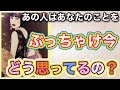 《意外な真実かも…🫢💘⁉︎》❤️あの人はあなたのことを、ぶっちゃけ今どう思ってるの？❤️★ 恋愛 人間関係 人生 運命 ★タロット占い＆オラクルカードリーディング