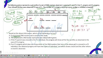 CSIR-UGC NET lifesciences Molecular marker question solved (morning shift)